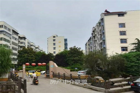 信用社家属院3室1厅1卫133㎡付房